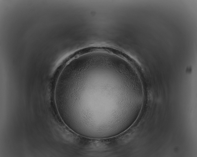 X0000093501311200710191240