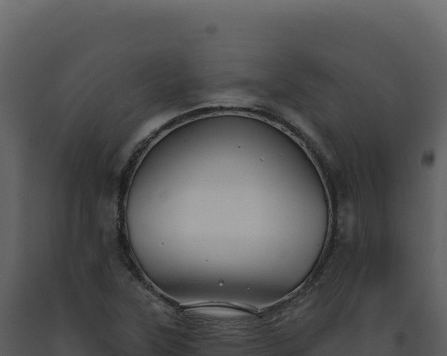 X0000093501315200710191241