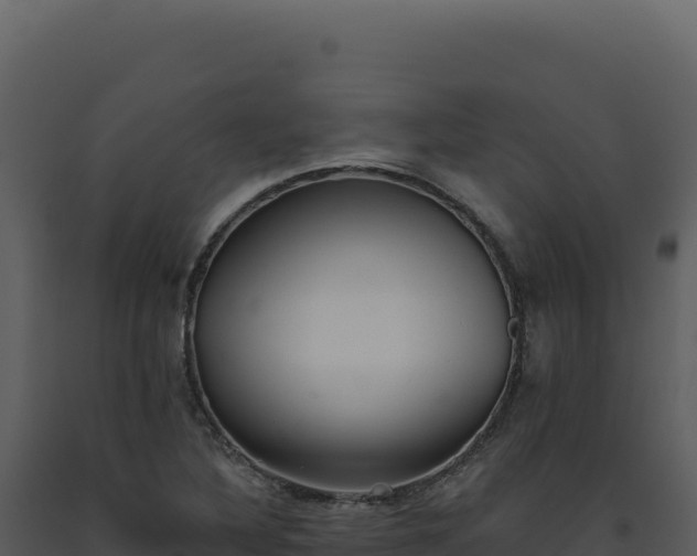 X0000093501316200710191241