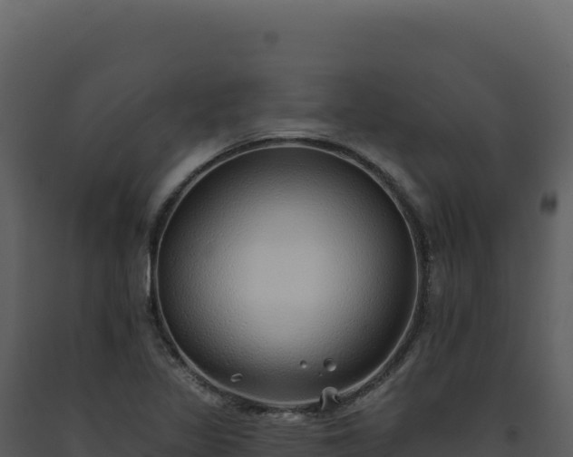 X0000093501317200710191241