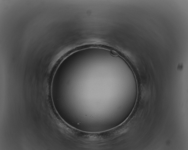 X0000093501318200710191241