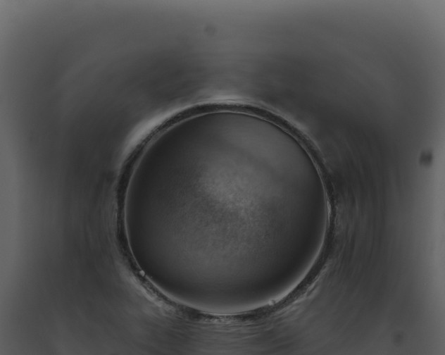 X0000093501319200710191241