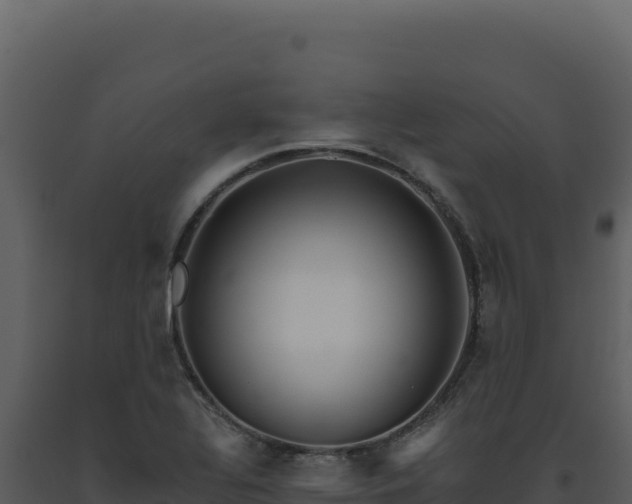 X0000093501320200710191241