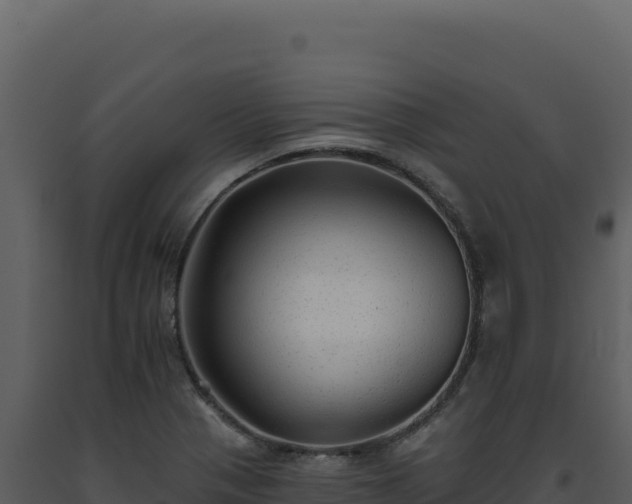 X0000093501321200710191241