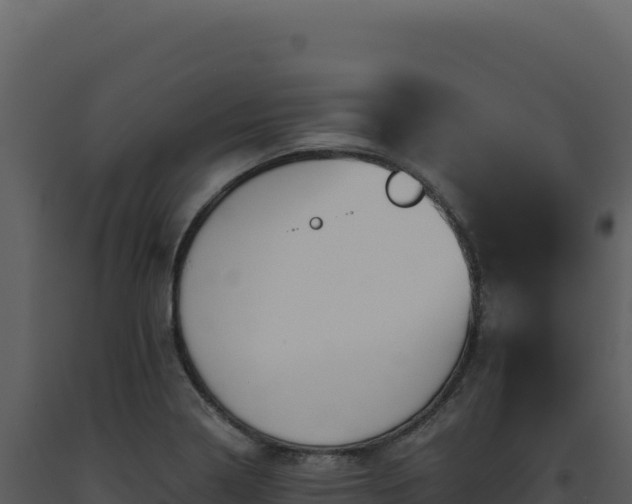 X0000093501322200710191241