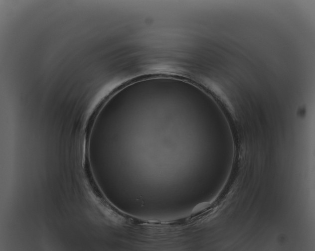 X0000093501323200710191241