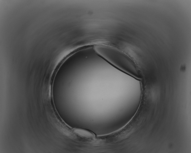 X0000093501324200710191241