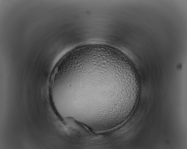 X0000093501325200710191241