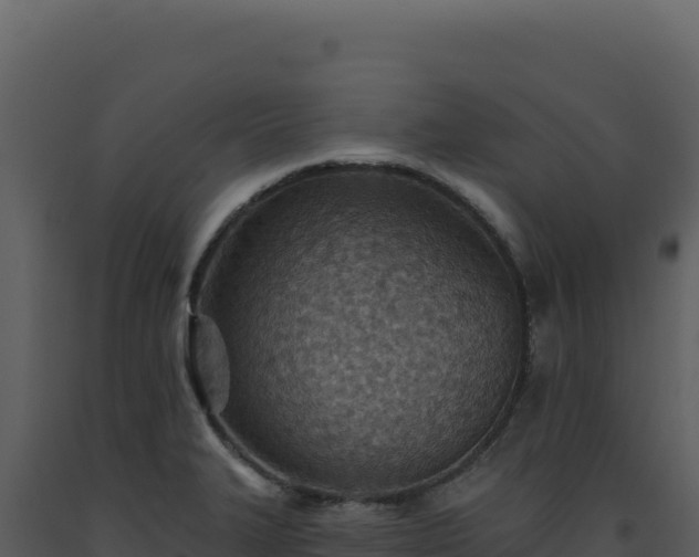 X0000093501327200710191241