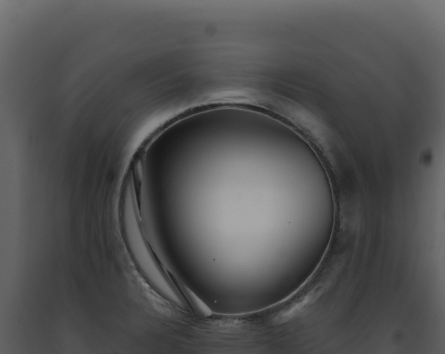 X0000093501328200710191241