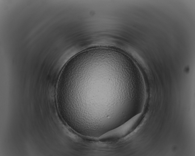 X0000093501329200710191241