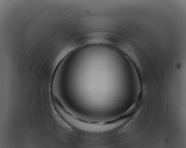 X0000093501330200710191241