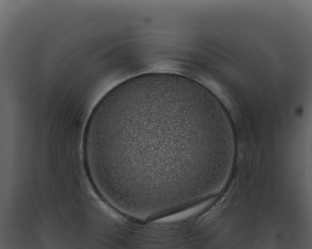 X0000093501331200710191241
