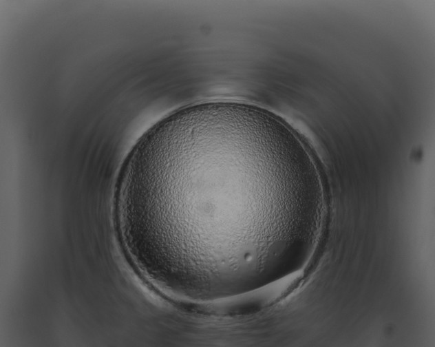 X0000093501333200710191241