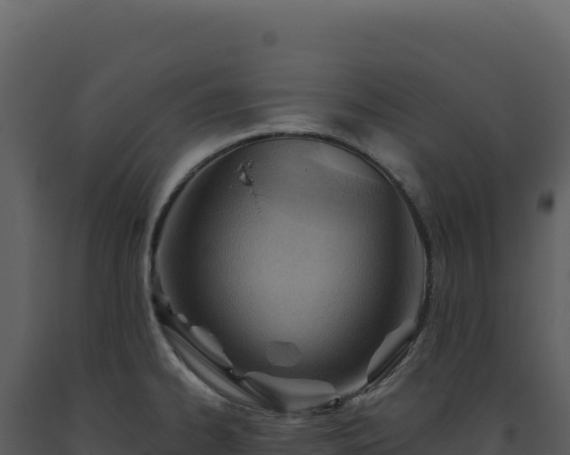 X0000093501334200710191241