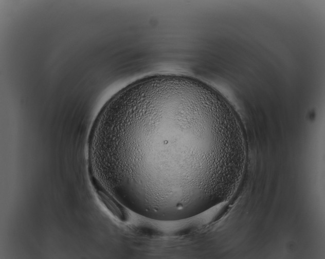 X0000093501335200710191241