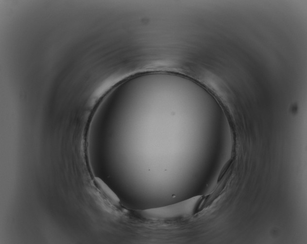 X0000093501336200710191241