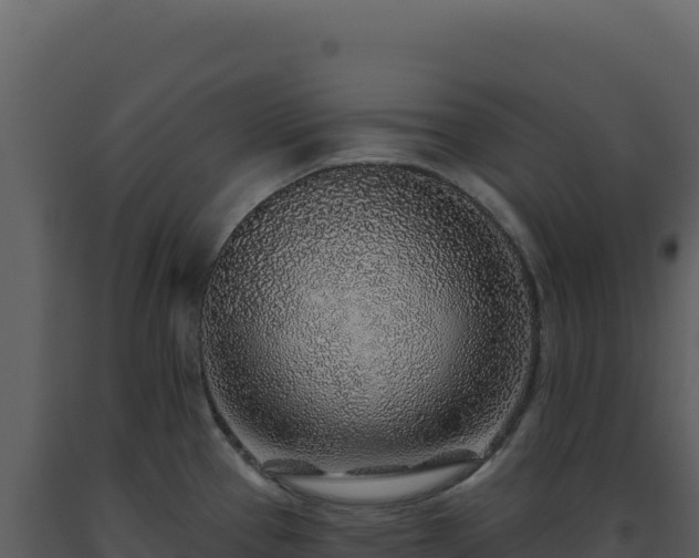 X0000093501337200710191241