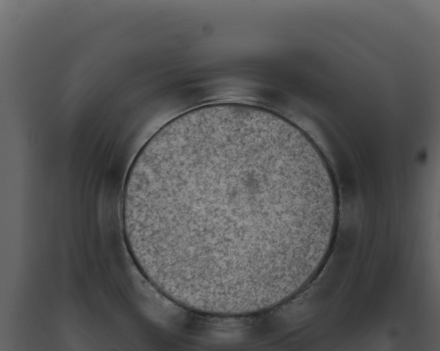 X0000093501338200710191241
