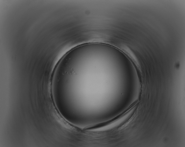 X0000093501340200710191241