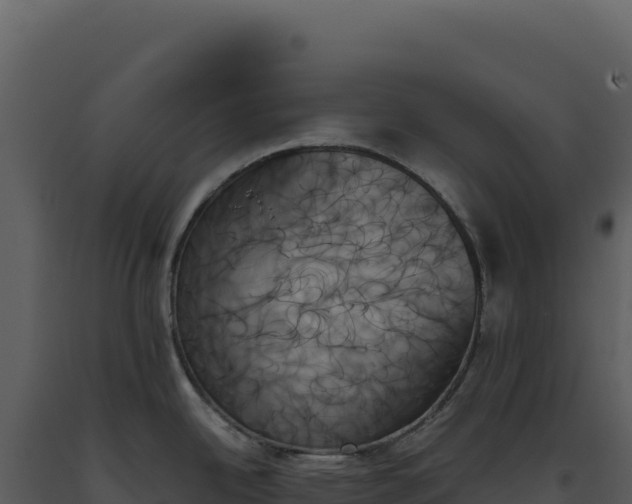 X0000093501342200710191241