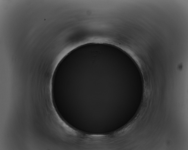 X0000093501343200710191241