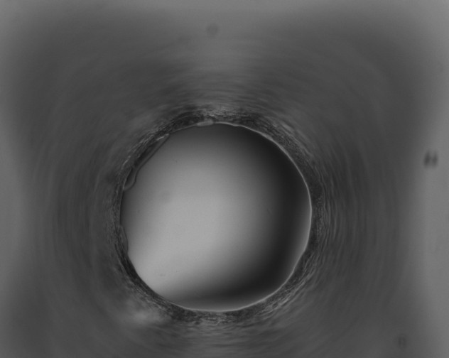 X0000093501345200710191240