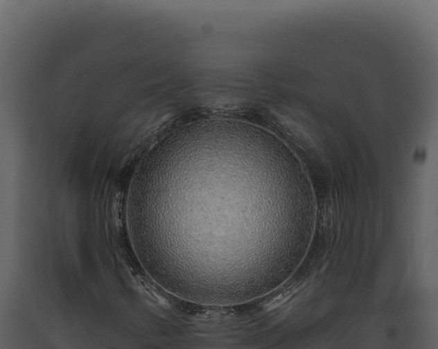 X0000093501346200710191240