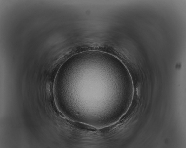 X0000093501347200710191240