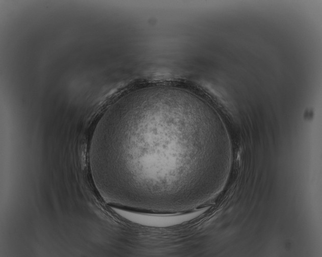 X0000093501348200710191240
