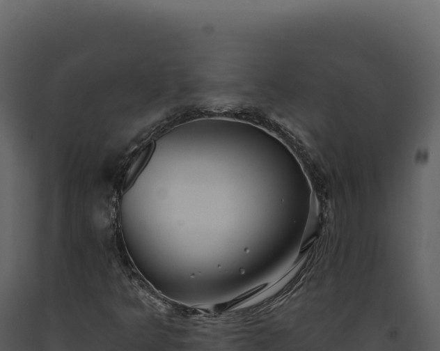 X0000093501349200710191240