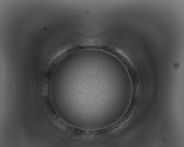 X0000093501350200710191240