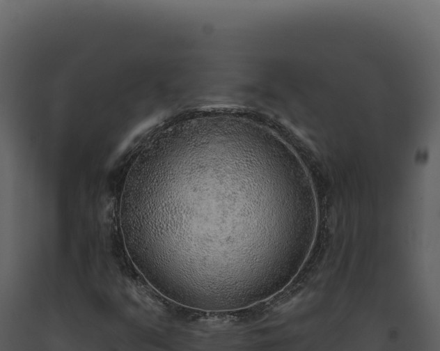 X0000093501351200710191240