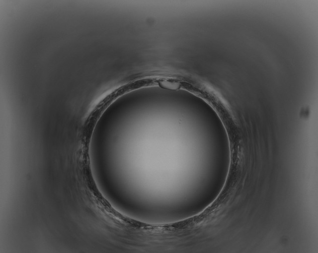 X0000093501352200710191240
