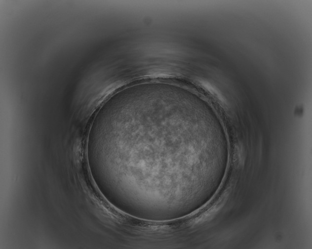 X0000093501353200710191240