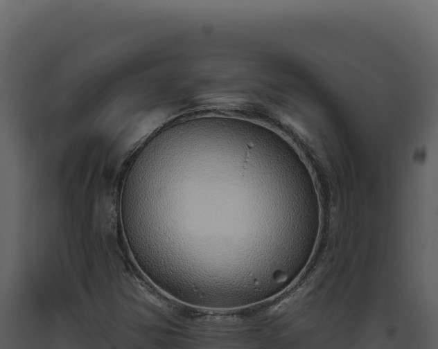X0000093501354200710191240