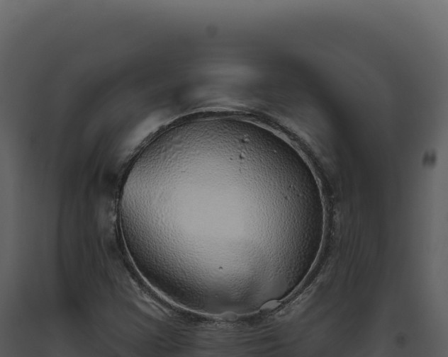 X0000093501355200710191240
