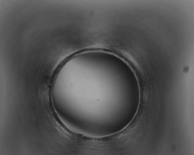 X0000093501356200710191240