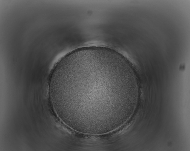 X0000093501358200710191240