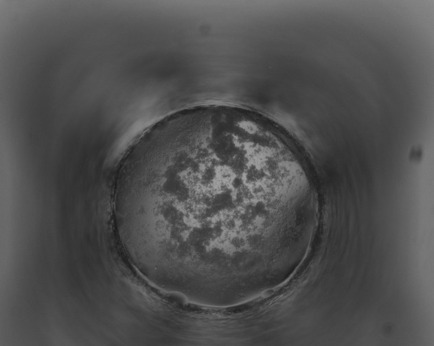 X0000093501359200710191240