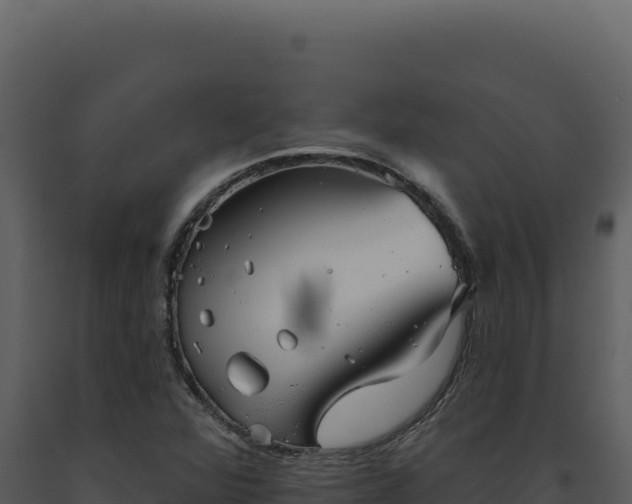 X0000093501360200710191240