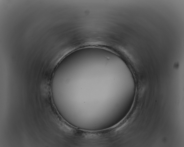 X0000093501361200710191240