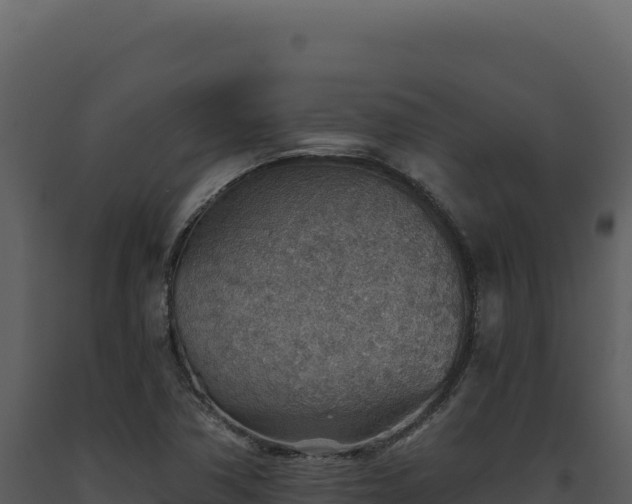X0000093501362200710191240