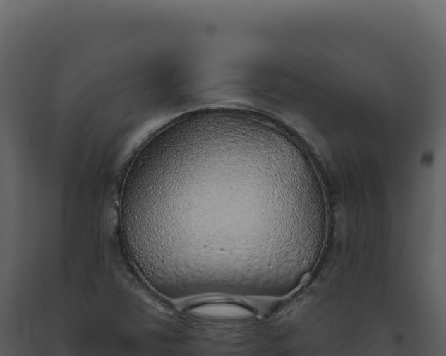 X0000093501363200710191240