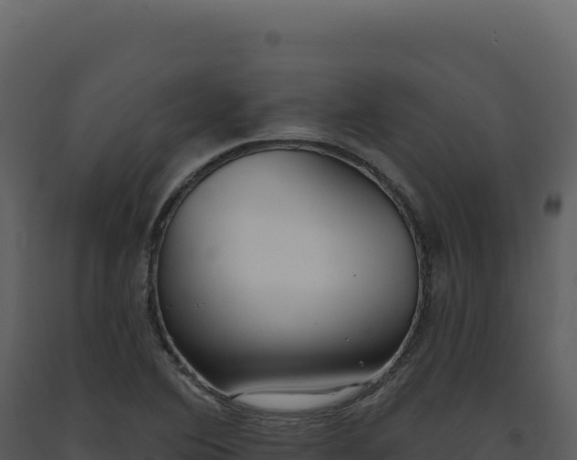 X0000093501364200710191240