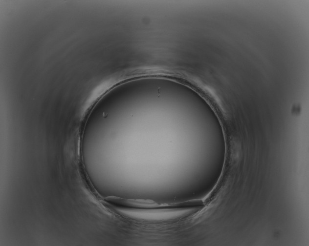 X0000093501365200710191240