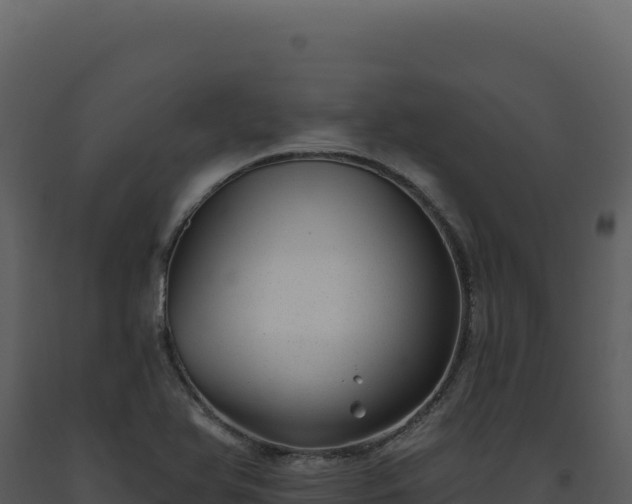 X0000093501366200710191240