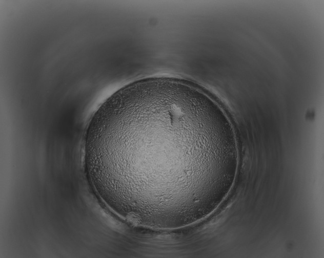 X0000093501367200710191240