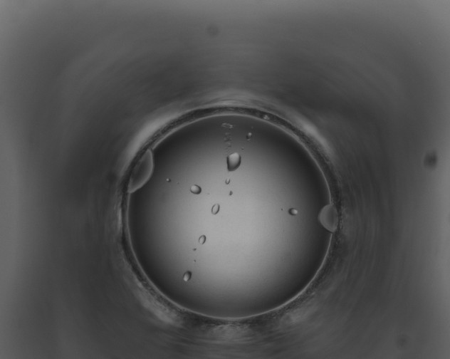 X0000093501368200710191240