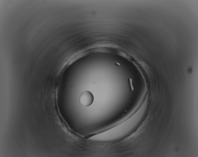 X0000093501369200710191240
